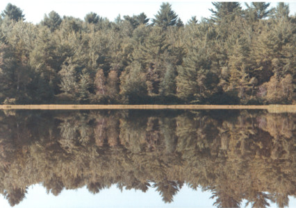scan0001.tif